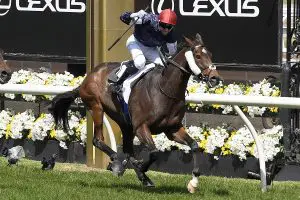 Twilight Payment wins Melbourne Cup