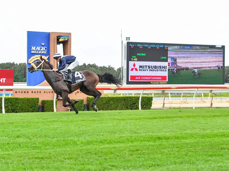 Magic Millions Wyong