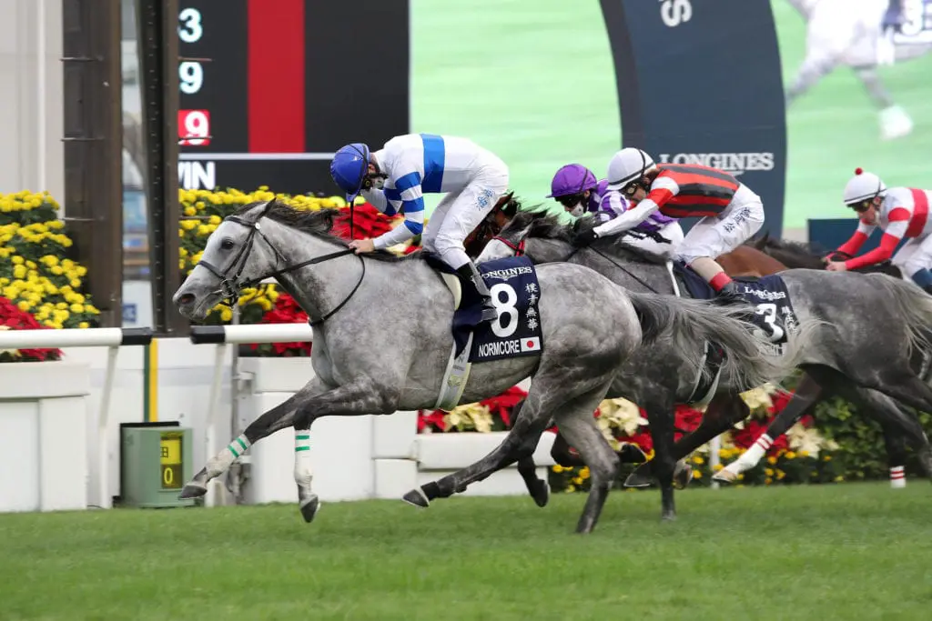 Hong Kong Cup