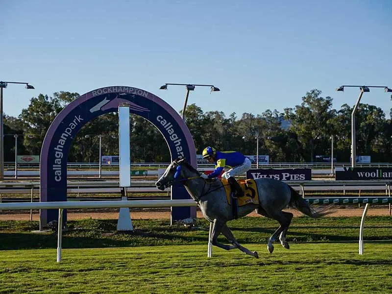 Absolut Artie passes the post at Rockhampton first