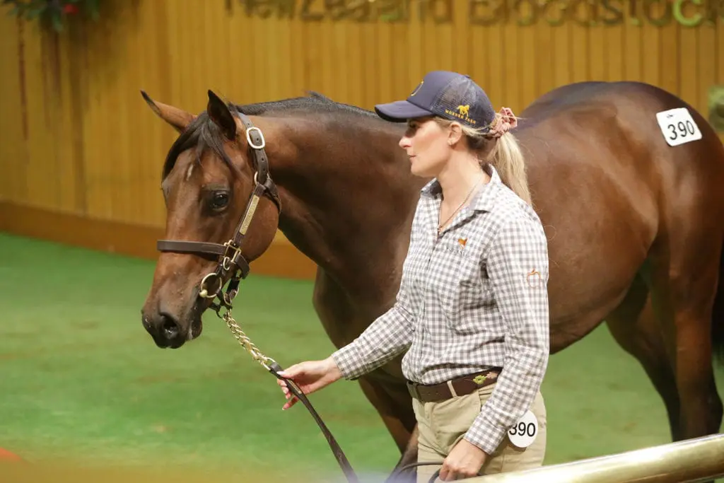 Lot 390, Ocean Park filly