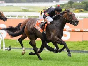 Payne Mulls Over Cup Tilt For Defibrillate Defibrillate