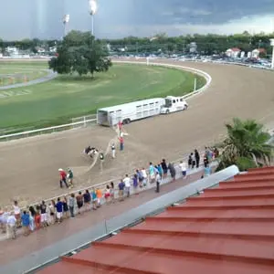 AJ Moir Stakes