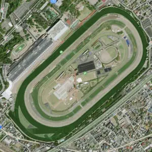 AJ Moir Stakes