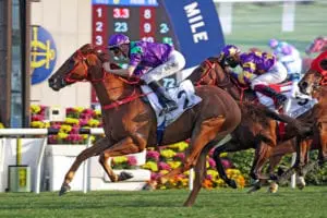 Size satisfied with trio’s barriers for Sunday’s Hong Kong Derby Excellent Proposal