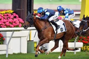 Barrier manners do the trick for Duke Wai in the Sha Tin feature Duke Wai