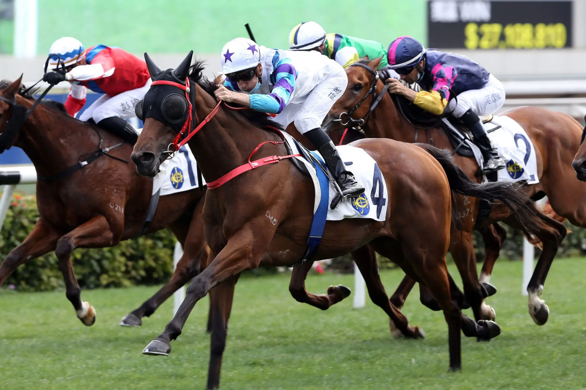 Blake Shinn