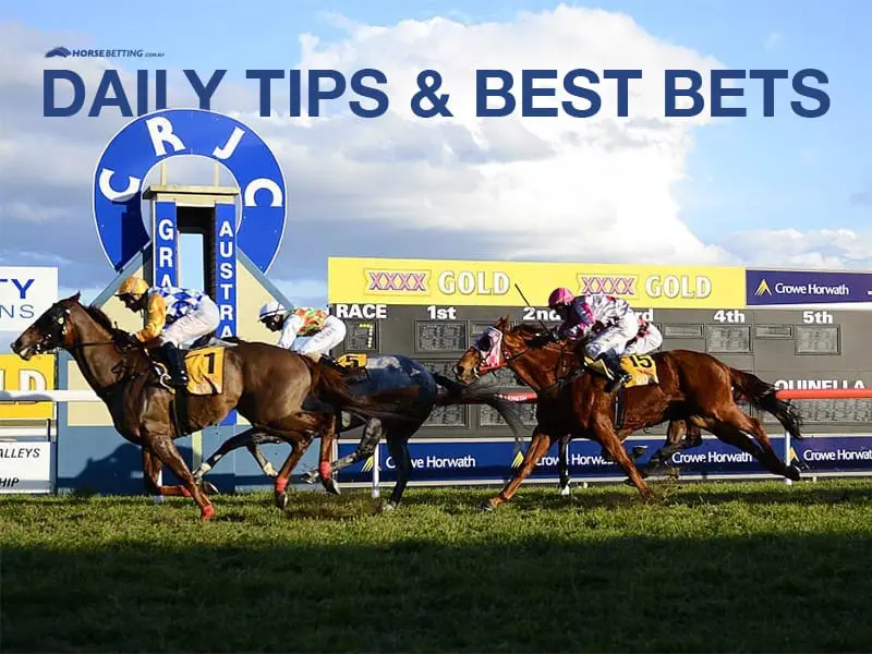 Grafton horse racing