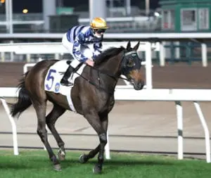 Shadow Hero ready to peak, Conqueror expected to improve for Derby Shadow Hero