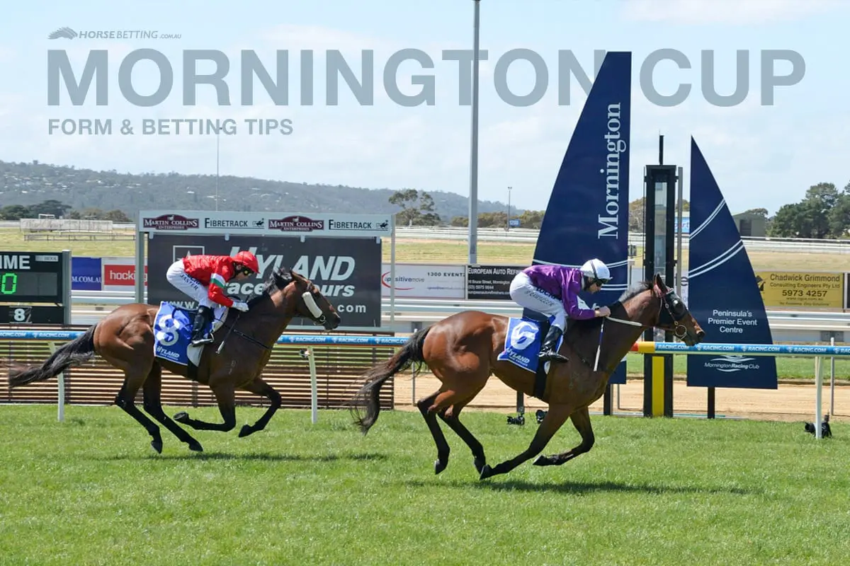 Mornington horse races