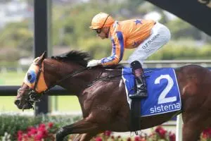 Sword-Of-State-Sistema-Stakes-Ellerslie-13.3.21-TD Sword Of State