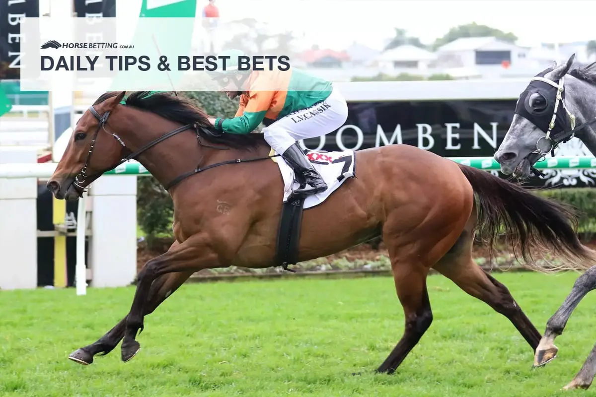 Roman Aureus will run at the Gold Coast on Saturday.