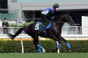 Glory Vase in peak form ahead of Group 1 QEII Cup tilt Glory Vase
