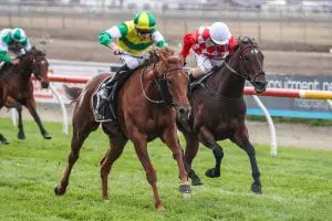 BEAUDEN-ACTION-ONE Beauden