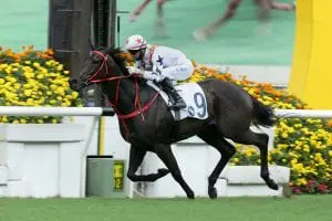 Courier Wonder impresses in the Group 3 Sha Tin Vase Courier Wonder