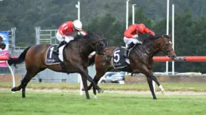 ENZO'S-LAD-(outer)---RACEIMAGES-PHOTO-PETER-RUBERY-NZ-(2) Enzo’s Lad