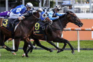 More Prophets Horse 2021 Dark Jewel Classic betting tips & best odds | Scone R6