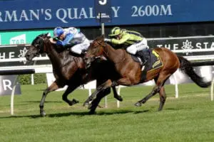 (Sir)-Charles-Road-Chairmans-Quality-Randwick-7.4.18-DS-(1) Sir Charles Road