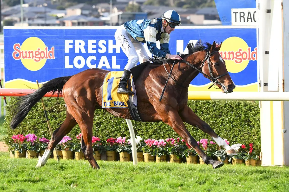 Le Don De Vie wins Warrnambool Cup