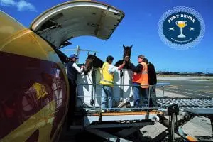 Air Horse Transport