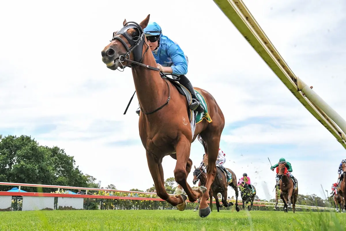 Coin Collector wins at Bendigo