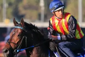 port louis 2021 JJ Atkins betting tips, best odds & form guide | Eagle Farm
