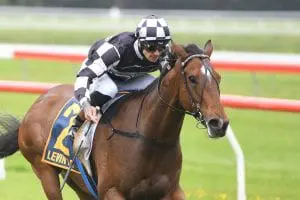 TAVI-MAC---LEVIN-STAKES-2020---PHOTO-GRANT-MATTHEW-RACE-IMAGES-(2) Tavi Mac