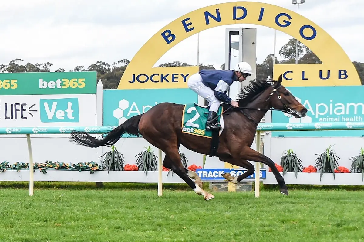 Hosier wins at Bendigo