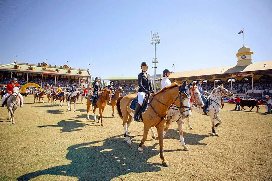 The Ekka Royal Queensland Show