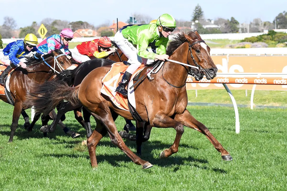 Our Playboy at Caulfield