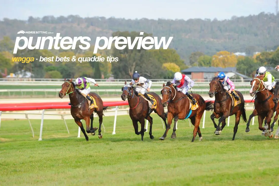 Wagga Gold Cup preview