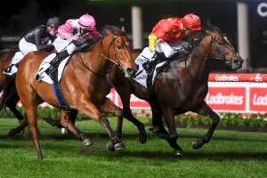 Wild Ruler wins Moir Stakes