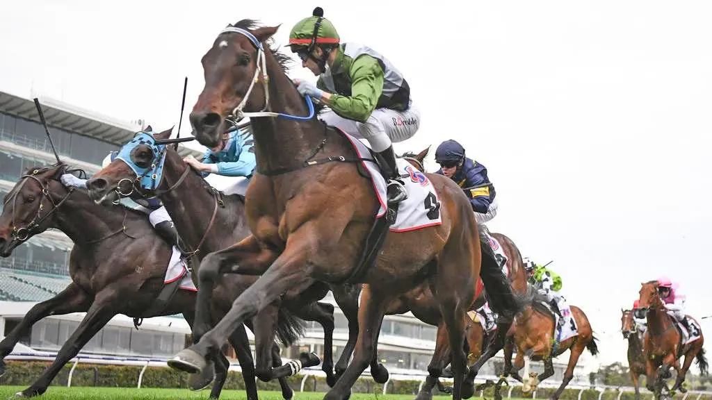 Incentivise at Makybe Diva Stakes (Picture: Reg Ryan—Racing Photos) Incentivise