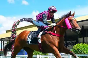 Startantes Startantes at Eagle Farm