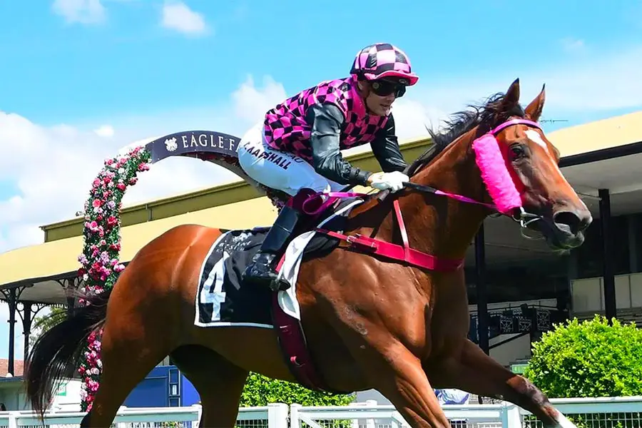 Startantes at Eagle Farm