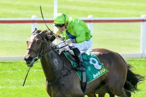 Tralee Rose wins Geelong Cup