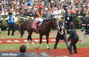 Melbourne Cup winner Delta Blues has died