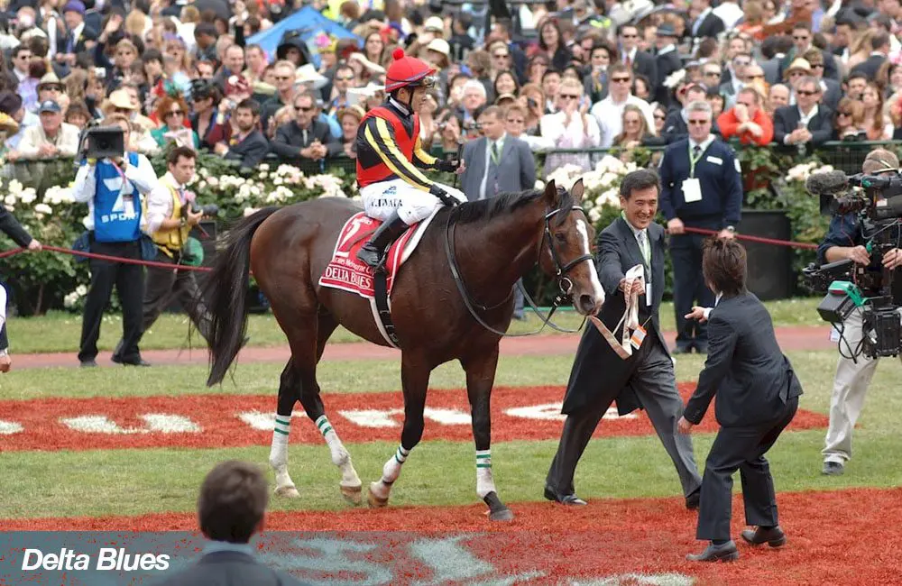 Melbourne Cup winner Delta Blues has died