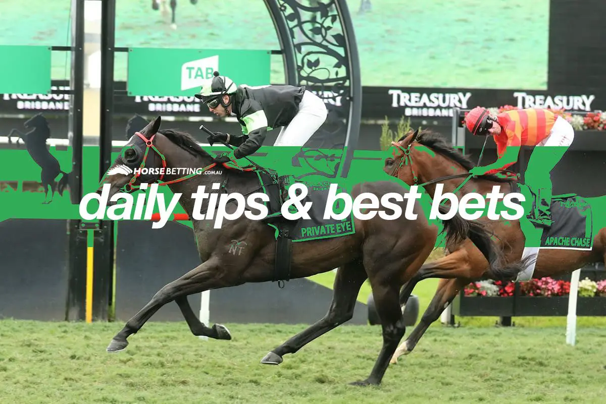 Best horse betting tipsters