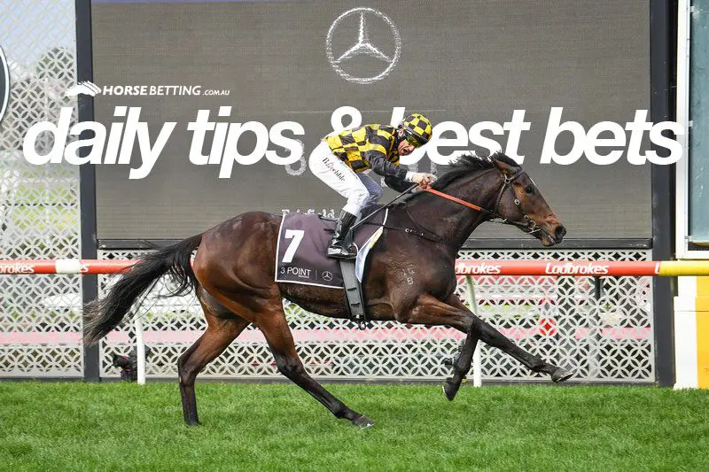 Horse racing tipster