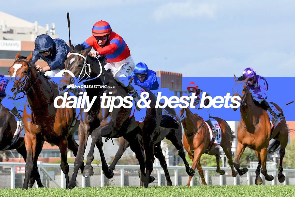 Verry Elleegant wins Caulfield Cup