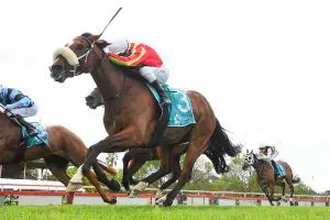Wentwood wins Bendigo Cup