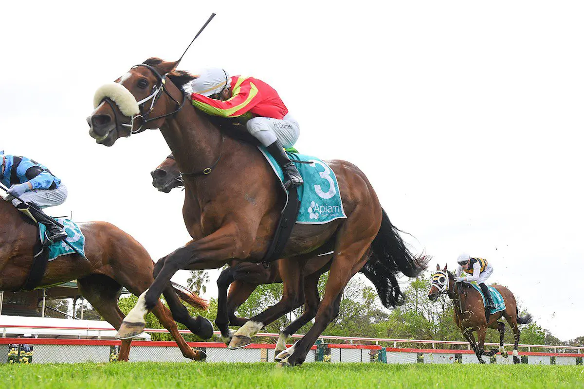 Wentwood wins Bendigo Cup