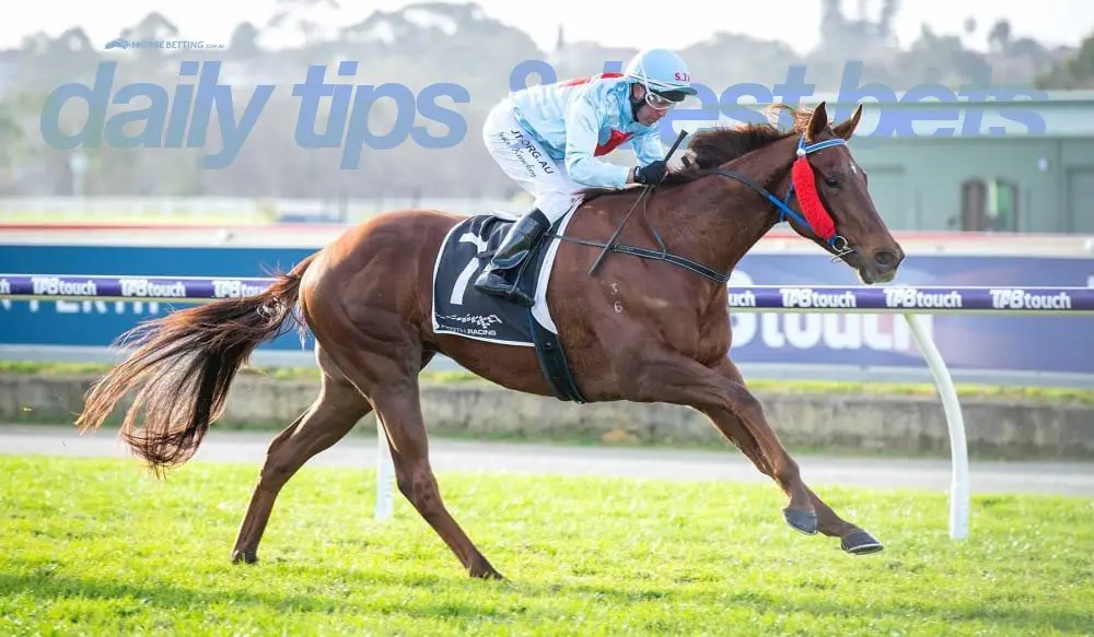 Daily horse racing tips