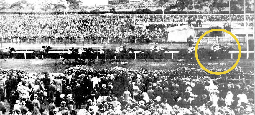 Shadow King Melbourne Cup