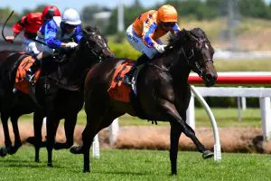 Bright Blue Sky racehorse