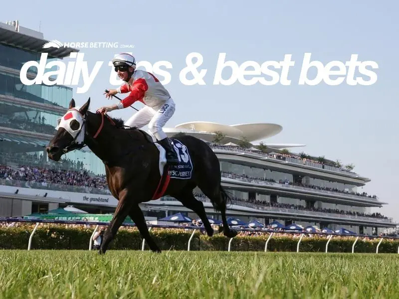 December horse racing tips