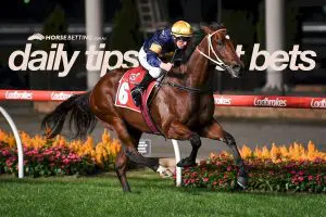 Today's horse racing tips & best bets | December 14, 2021