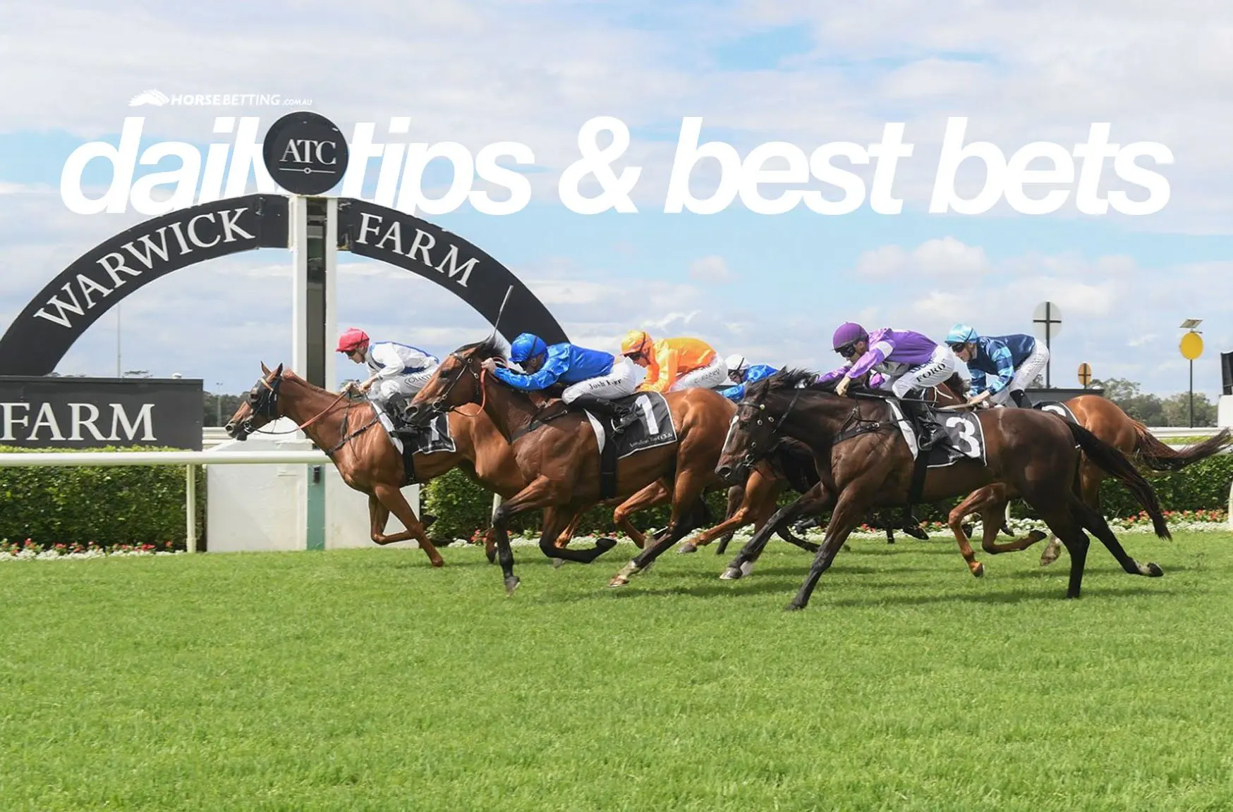 Warwick Farm horse betting