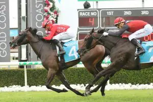Perfect Mission "Cherry Ripe" ahead of Magic Millions 2YO Classic